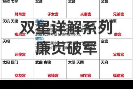 紫薇斗数空宫详解,父母空宫的人命好吗