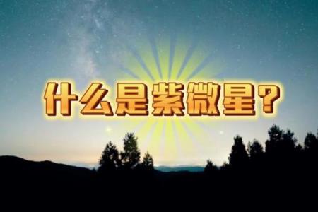紫薇星是什么