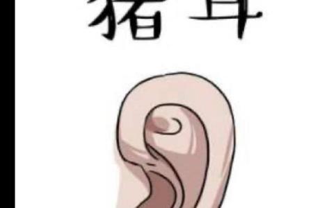 猪耳算命
