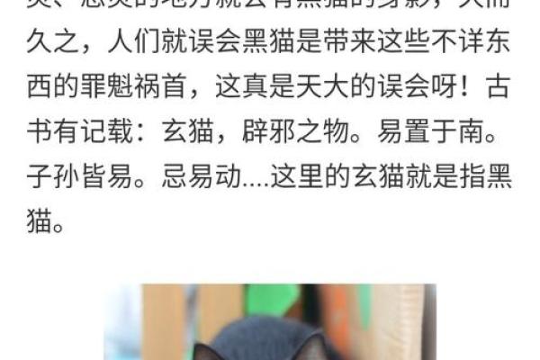 傅佩荣：我劝很多人不要算命，为什么？有一段我亲身经历的故事