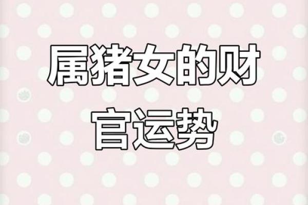 96年女鼠八字姻缘配猪