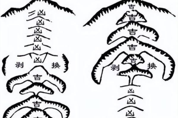 山的风水_每座山都有龙脉吗