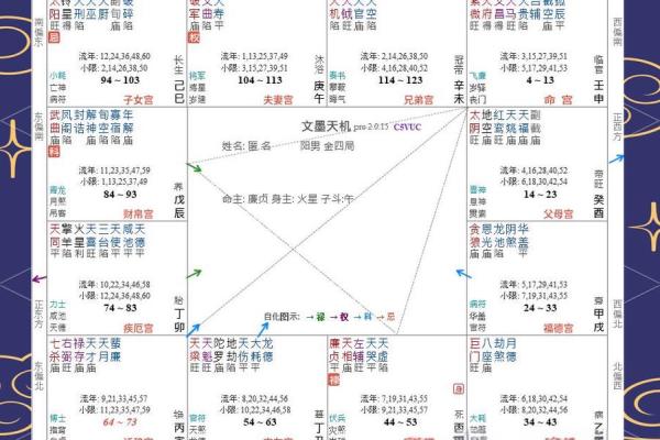 紫薇星命盘解读金牛座