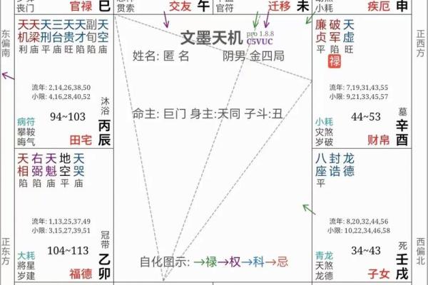 紫薇斗数大财星