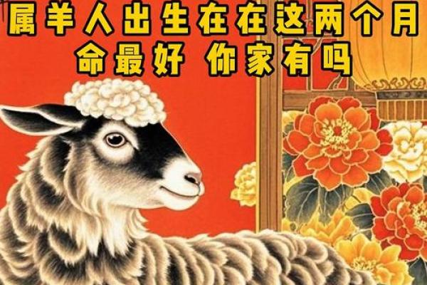 傍晚六点出生的属羊男孩如何起名，宜用什么字姓名