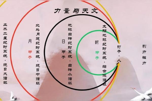 中和的八字