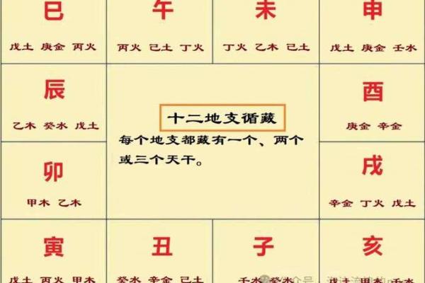 中和的八字