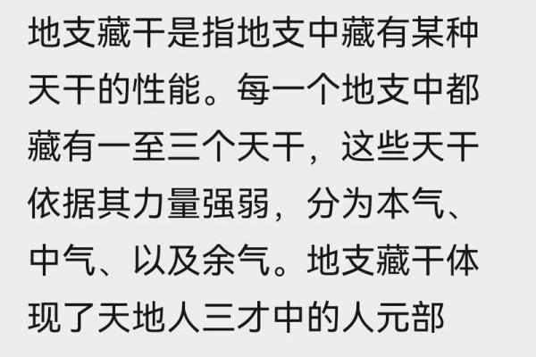 四柱八字基础知识，地支藏干的基本原理