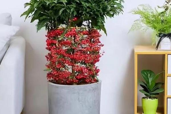 假花放在哪里不会影响家里风水呢