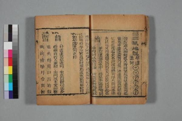 命运爱情号,六爻金钱课与八字