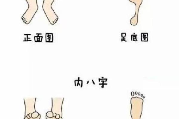 外八字图片