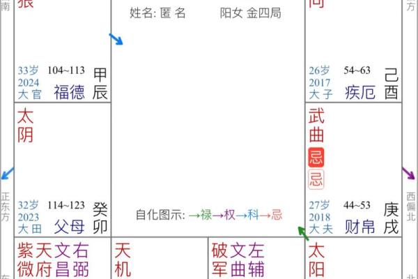 飞星四化紫薇斗数