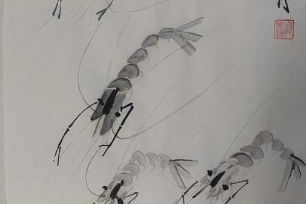 风水招财_养虾招财么
