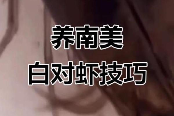 风水招财_养虾招财么