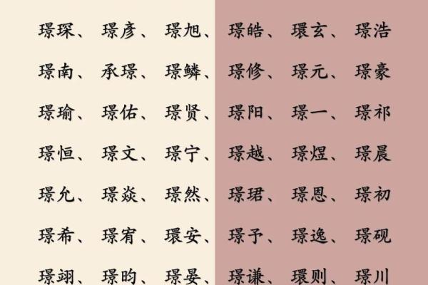 晚上11点出生的属鸡男孩宜用什么字取名字合适姓名