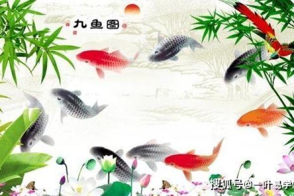 办公室风水鱼：创造积极办公环境的必备