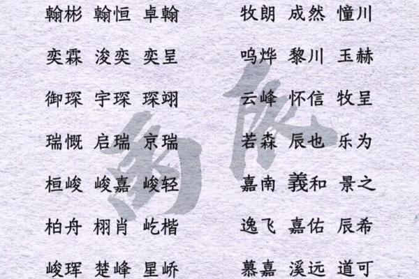 2019年6月11号丑时出生的男孩如何起名姓名