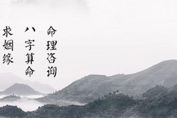 193算命网