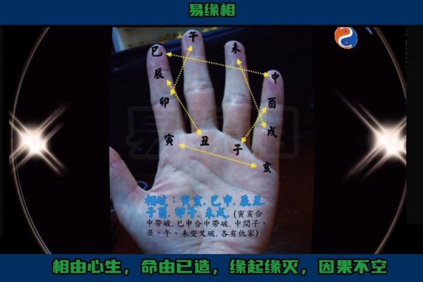 在线扫一扫测手相算命,扫一扫测手相算命免费