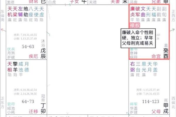 名人紫薇斗数格局