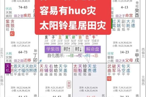 紫微斗数田宅宫看子孙 田宅宫对照子女宫？