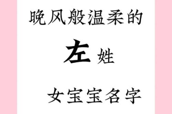 如何来替属猪未时出生的男孩如何起名姓名