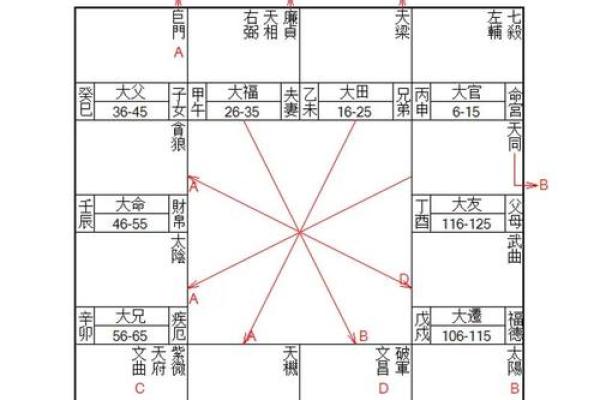 紫薇斗数如何排盘图