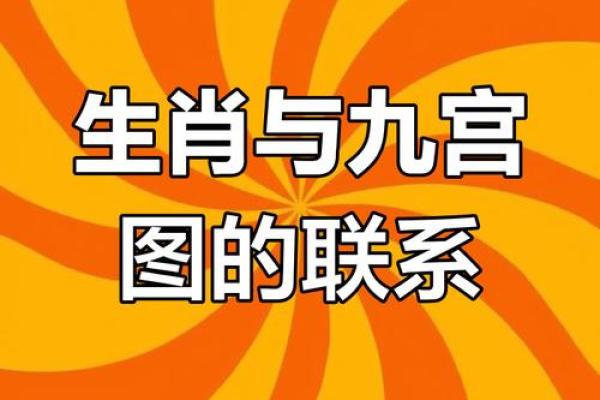十二生肖每日风水 十二生肖每日风水查询