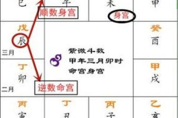 紫薇斗数子时怎么确定