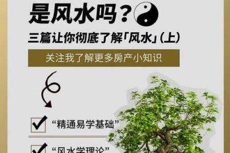 风水：商业本质共通下风水秘诀