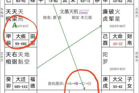 紫薇斗数一岁在哪里