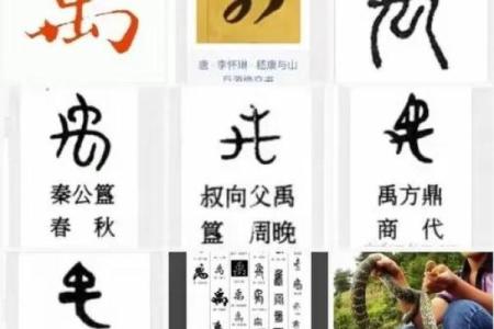禹姓女孩名字大全-禹姓女孩起名字大全-禹姓名字大全姓名