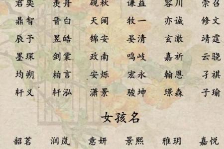 姓名和八字