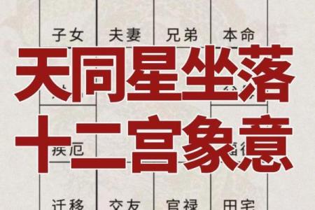 紫微斗数之廉贞星：此星在命盘什么地方，这辈子的业障就在哪里