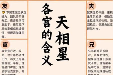 刘嘉玲命理紫薇斗数