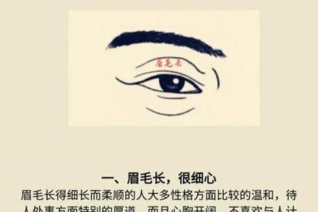详解：倒八字眉的男人面相