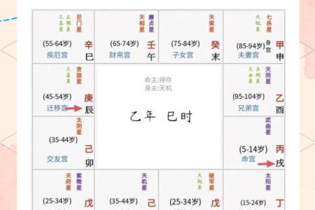 紫微斗数排盘天梁星化权是什么意思？