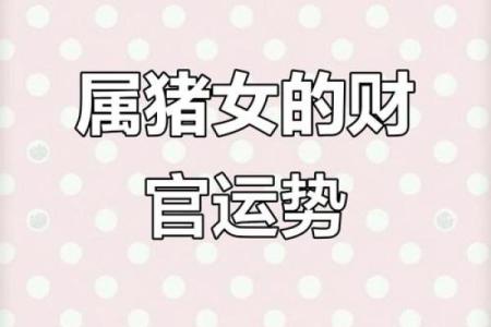 96年女鼠八字姻缘配猪