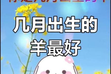 半夜出生的属羊男孩起什么名，用什么字好姓名