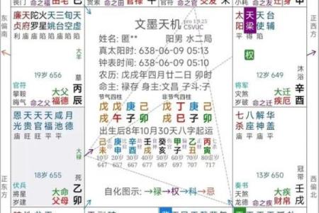 免费紫微斗数看感情 紫微斗数看感情运？