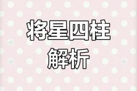 八字中的将星是什么 八字将星是什么