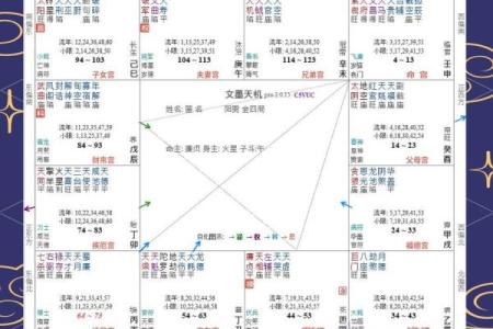 紫薇星命盘解读金牛座