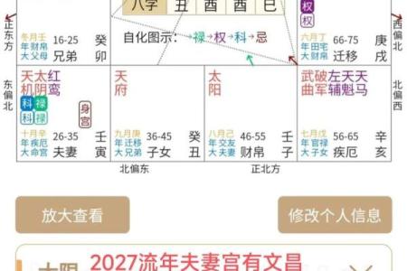 双人紫薇斗数在线合盘