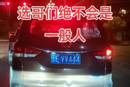 八字选车牌