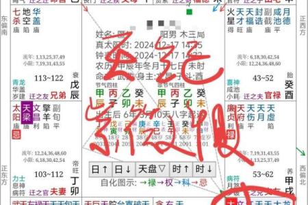 怎样看懂紫薇星盘