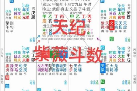 紫薇斗数在排盘