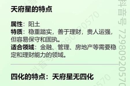 紫微斗数之兄弟宫与诸星,天府星在兄弟宫是什么意思？