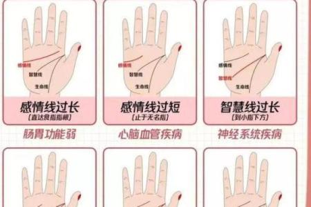 免费拍照看手相算命