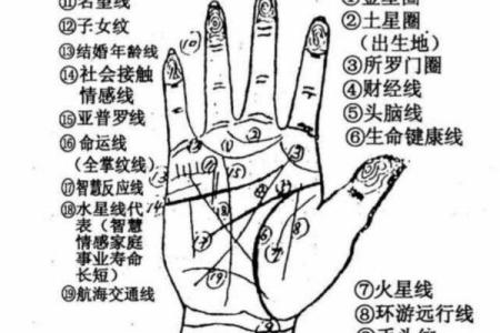怎样看手相算命,如何学会看手相算命