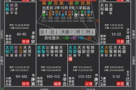 为什么四柱和紫薇斗数不一样